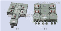 防爆照明（动力）配电箱（ⅡB,ⅡC）