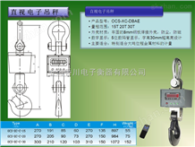 OCS-XC-DBAE 30吨直视电子吊钩称*价