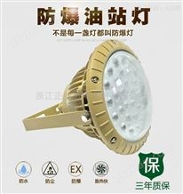 ZAD301 LED华荣款led防爆灯照明灯化工厂油站泛光灯