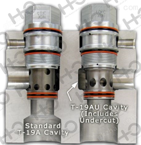 Transducer Techniques数显表LBM-50