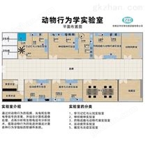 动物行为学视频分析软件、精细行为分析系统