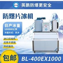 BL-400EX1000陕西制药厂防爆片冰机，日产量1000公斤