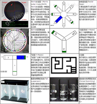 动物实验仪器 动物行为学视频分析系统