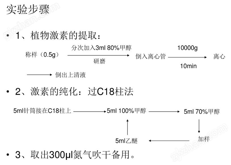 综合体育网