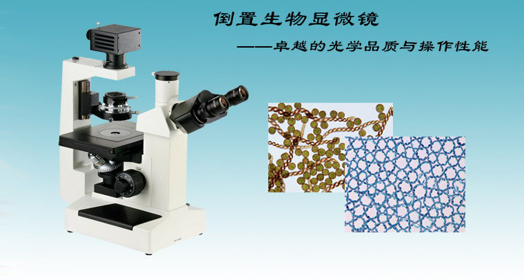 赠送彩金的游戏平台